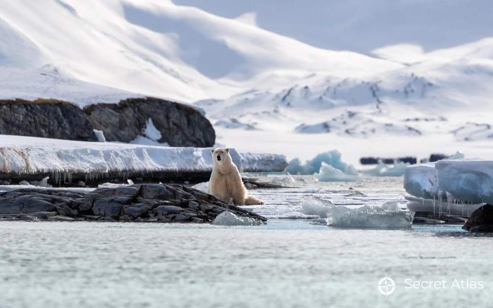 Leica Photo Adventure to Svalbard from July 11-20, 2026 - Image 12