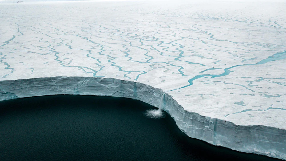 Leica Photo Adventure to Svalbard from July 11-20, 2026 - Image 18