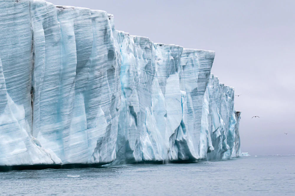 Leica Photo Adventure to Svalbard from July 11-20, 2026 - Image 20